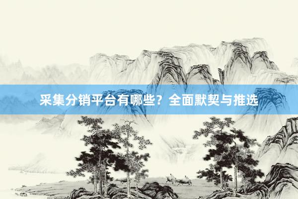 采集分销平台有哪些？全面默契与推选