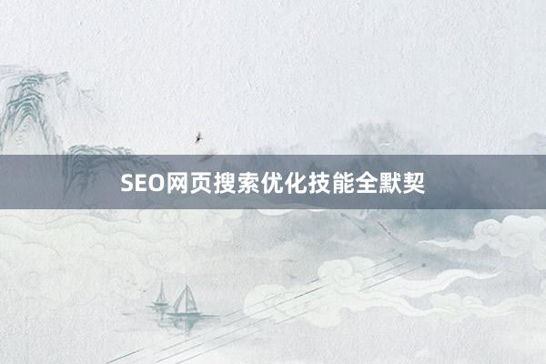 SEO网页搜索优化技能全默契